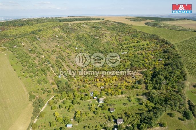 Prodej, Zahrada, Židlochovice