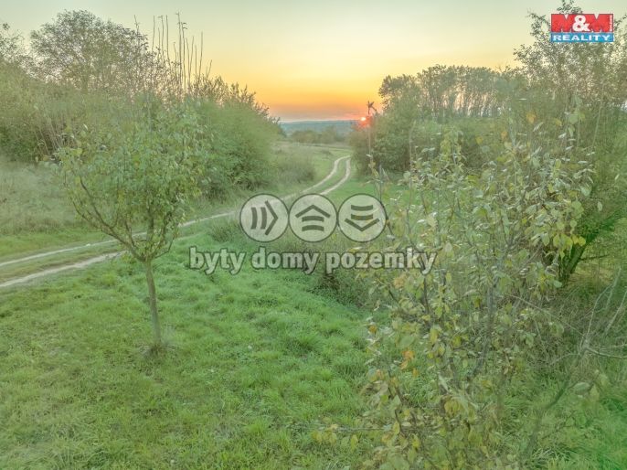 Prodej, Ovocný sad, Ostrožská Nová Ves