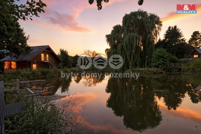 Prodej, Hotel, penzion, Borotice