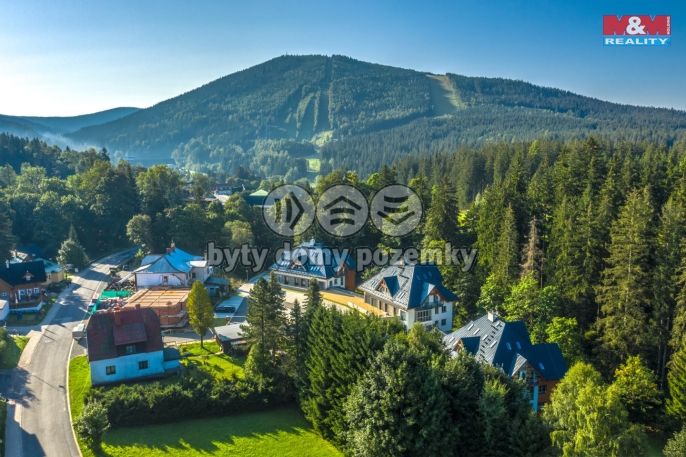 Prodej, Byt 1+kk, Harrachov