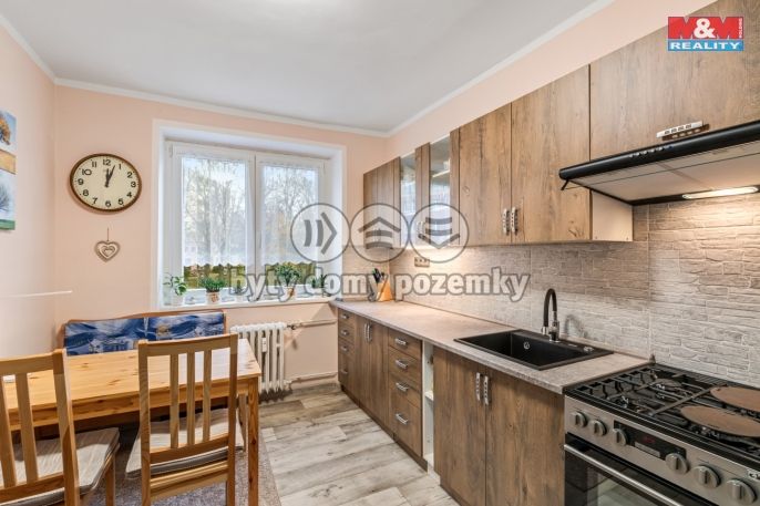 Prodej, Byt 2+1, Litvínov