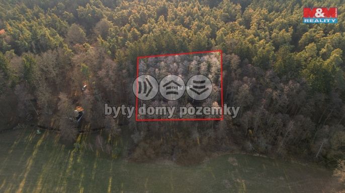 Prodej, Les, Týniště nad Orlicí