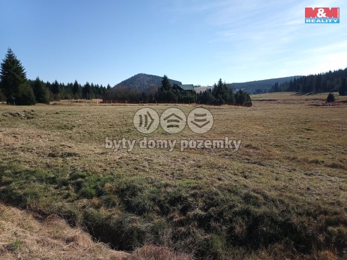 Prodej, Louka, Kořenov