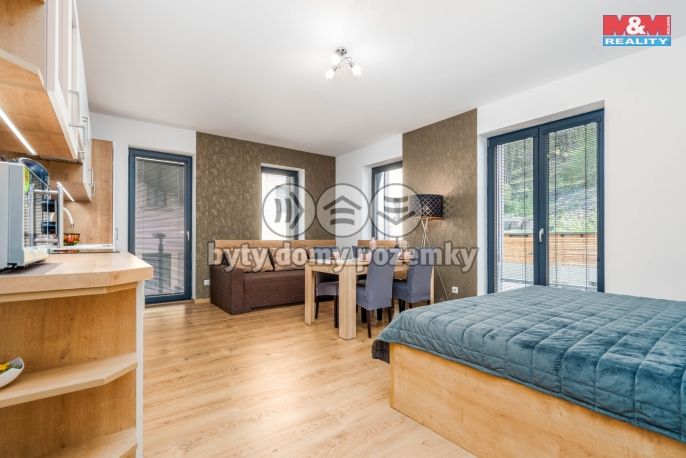 Prodej, Byt 1+kk, Vrchlabí