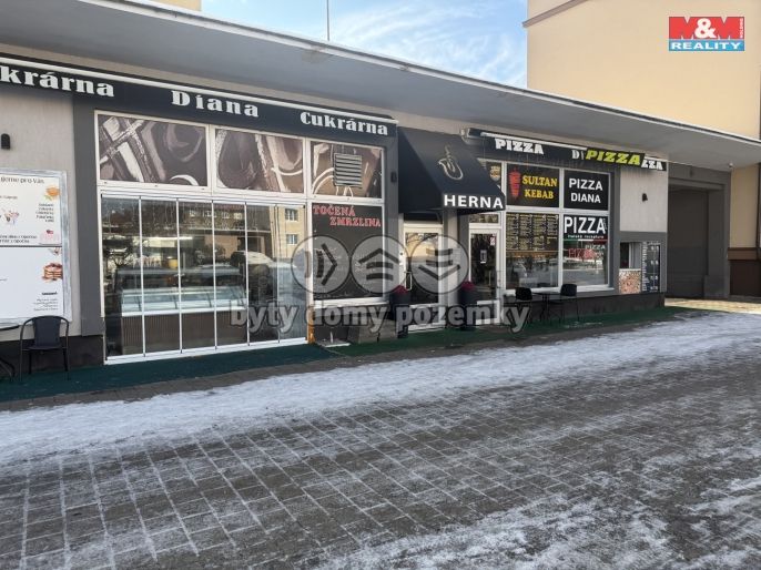 Pronájem, Ostatní, Kladno