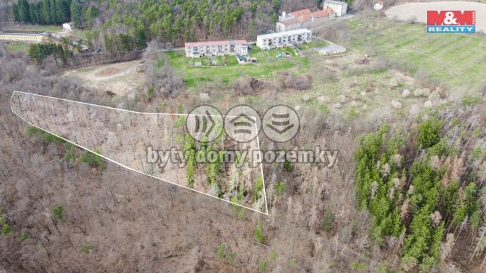 Prodej, Les, Bojanovice