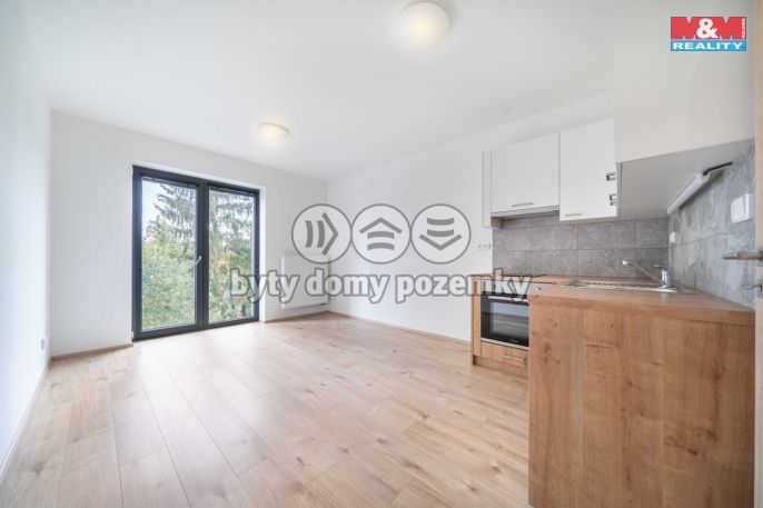 Prodej, Byt 1+kk, Třemošná