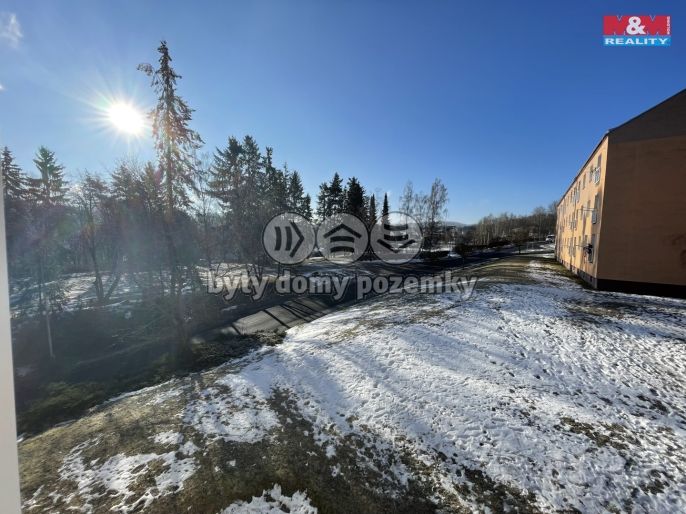 Prodej, Byt 2+1, Horní Slavkov