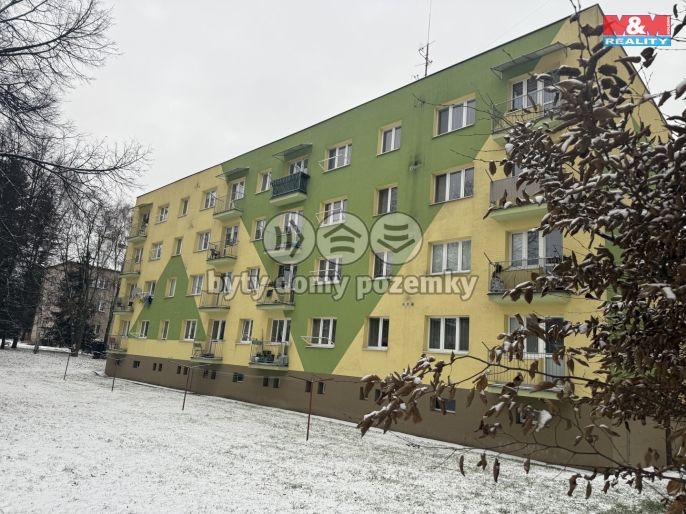 Pronájem, Byt 1+1, Rychnov nad Kněžnou