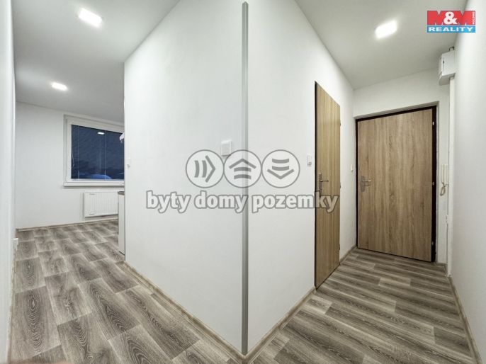 Pronájem, Byt 1+1, Ostrov