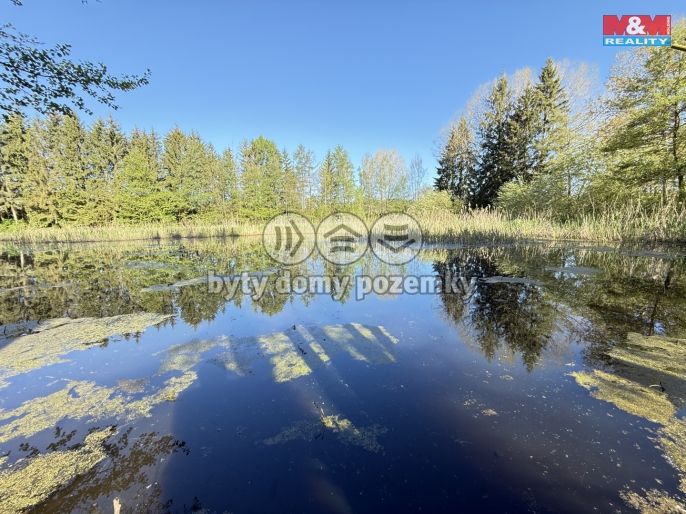 Prodej, Vodní plocha, Rychnov nad Kněžnou