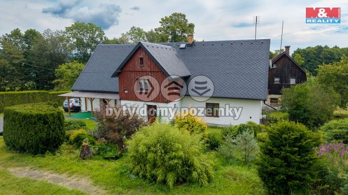 Prodej, Hotel, penzion, Pěnčín