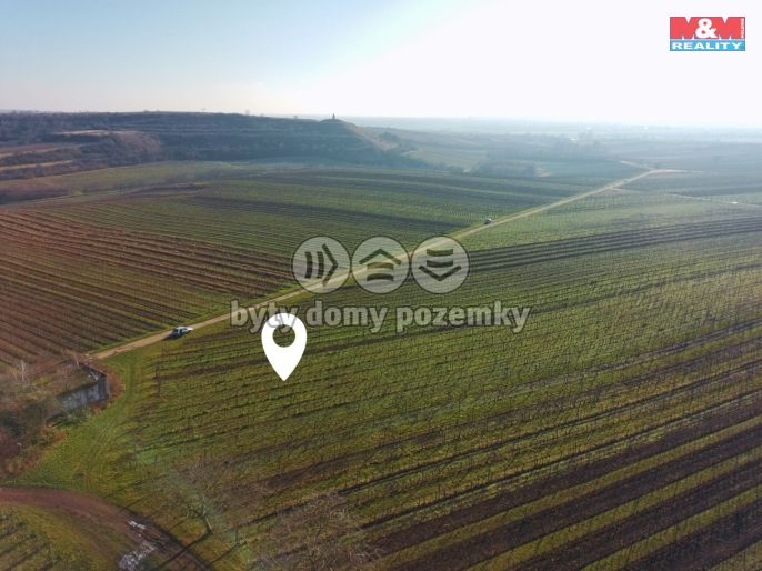 Prodej, Vinice, Velké Bílovice