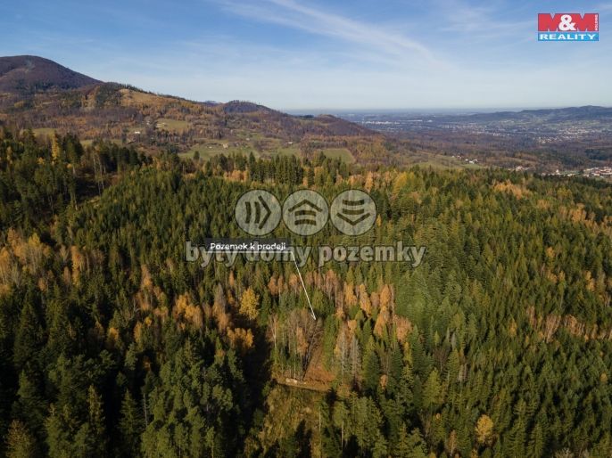 Prodej, Pastvina, Milíkov