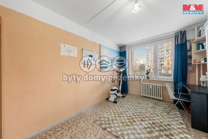 Prodej, Byt 3+1, Most