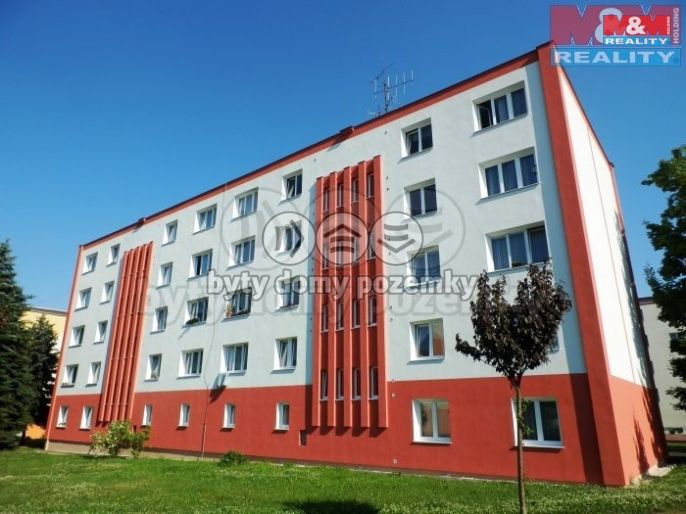 Pronájem, Byt 1+1, Františkovy Lázně