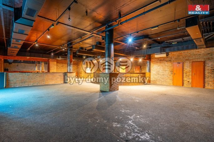 Pronájem, Obchod a služby, Praha