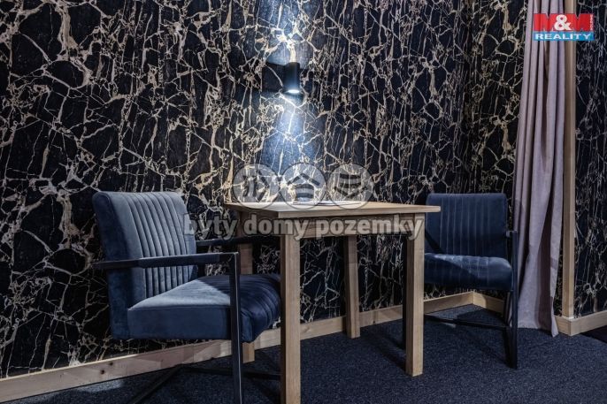 Pronájem, Restaurace, stravování, Benešov