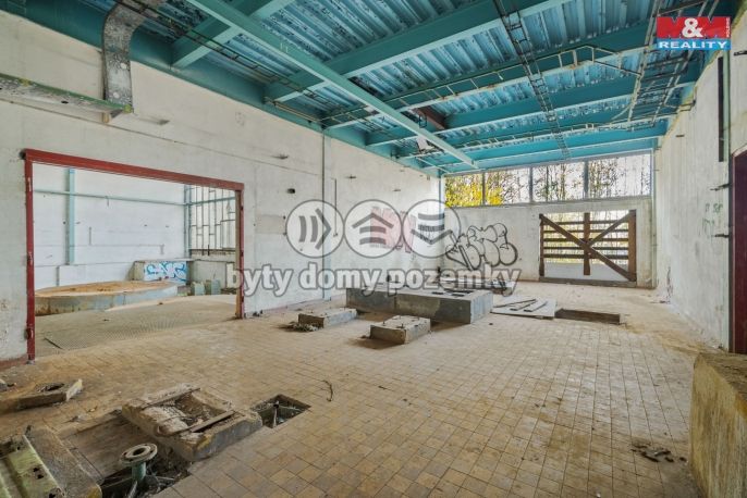 Prodej, Hotel, penzion, Havlovice