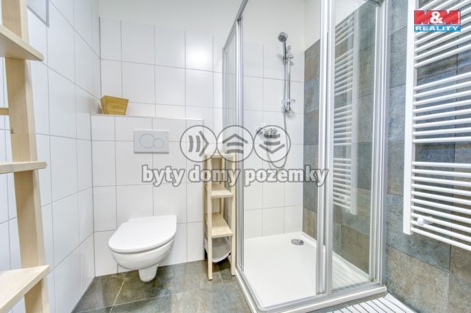 Pronájem, Byt 2+kk, Plzeň