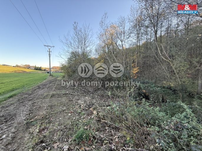 Prodej, Les, Velká Polom