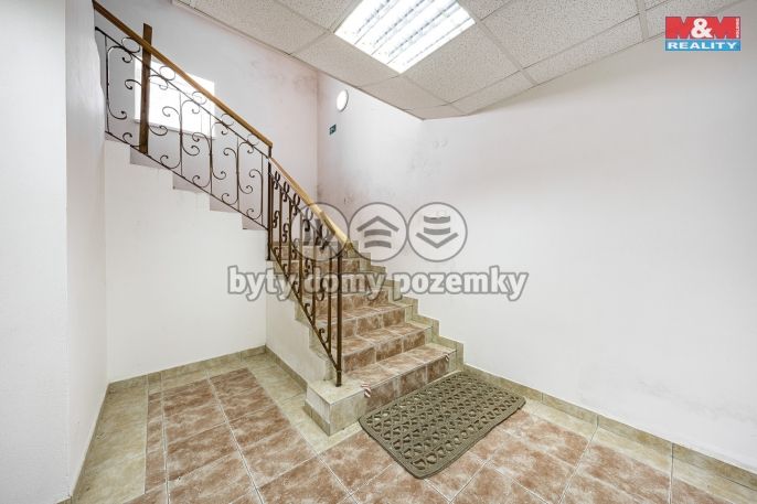 Prodej, Hotel, penzion, Petrovice