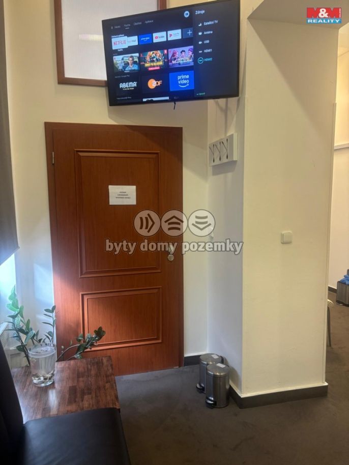 Pronájem, Ostatní, Brno