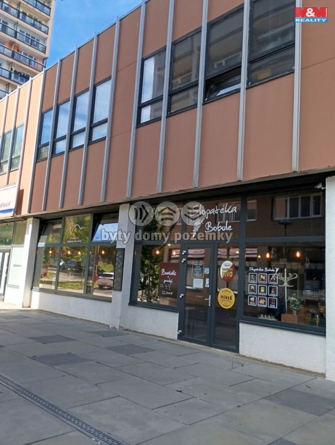 Pronájem, Obchodní objekt, Příbram