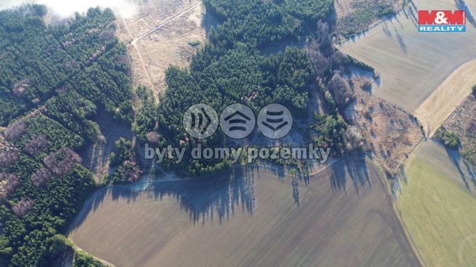 Prodej, Les, Bohdalov