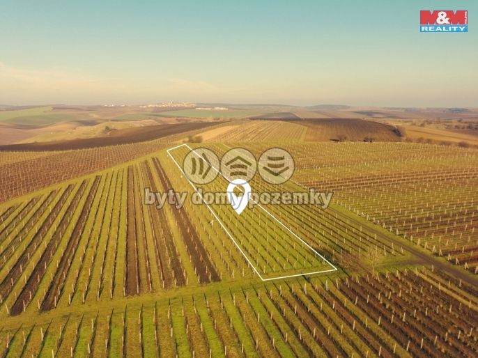 Prodej, Vinice, Velké Bílovice