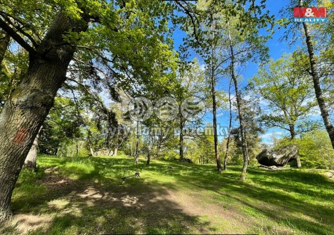 Prodej, Les, Petrovice