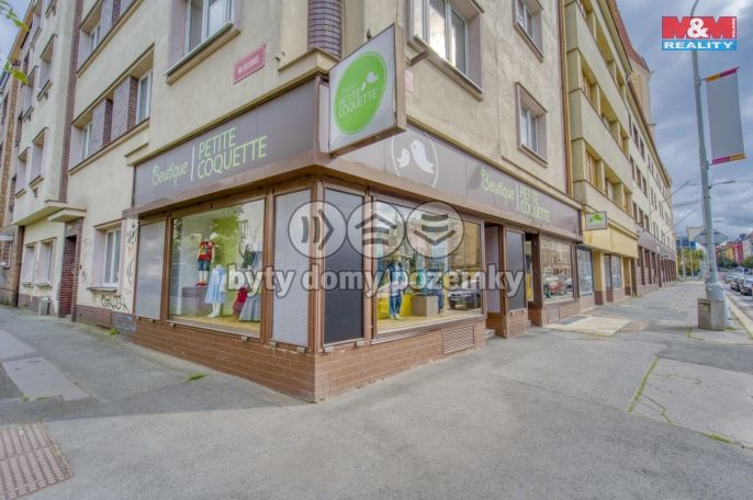 Pronájem, Obchod a služby, Plzeň