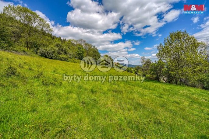 Prodej, Zahrada, Sušice