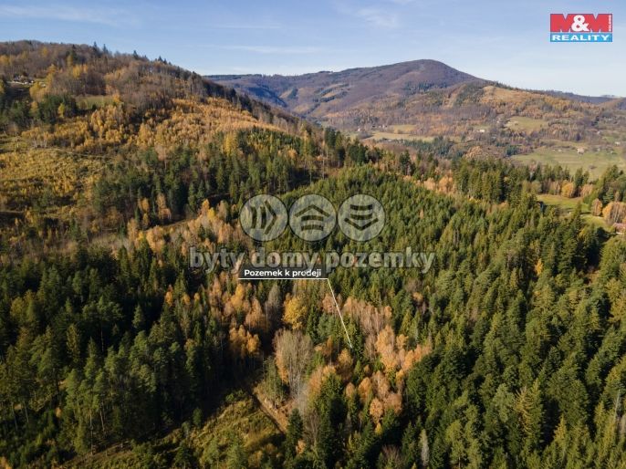 Prodej, Pastvina, Milíkov