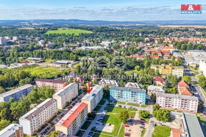 Prodej, Byt 2+1, Cheb
