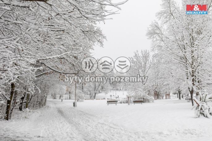 Prodej, Byt 3+1, Havířov