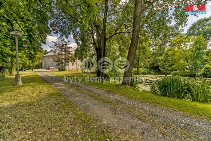 Pronájem, Byt 1+kk, Vlčice