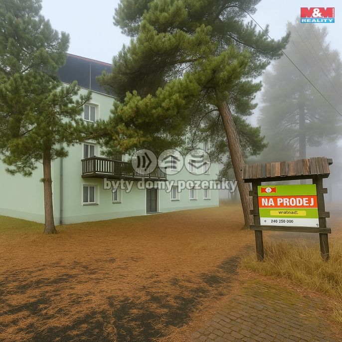 Prodej, Hotel, penzion, Železná Ruda