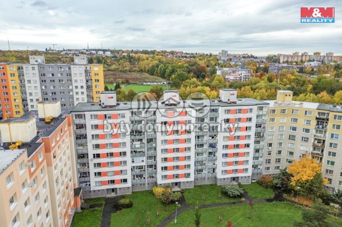 Pronájem, Byt 4+1, Plzeň