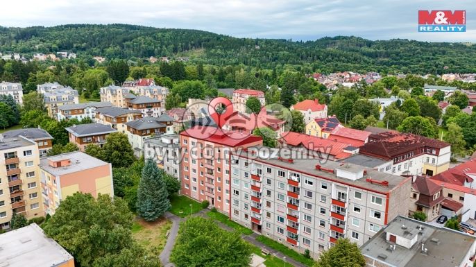 Prodej, Byt 2+1, Mariánské Lázně