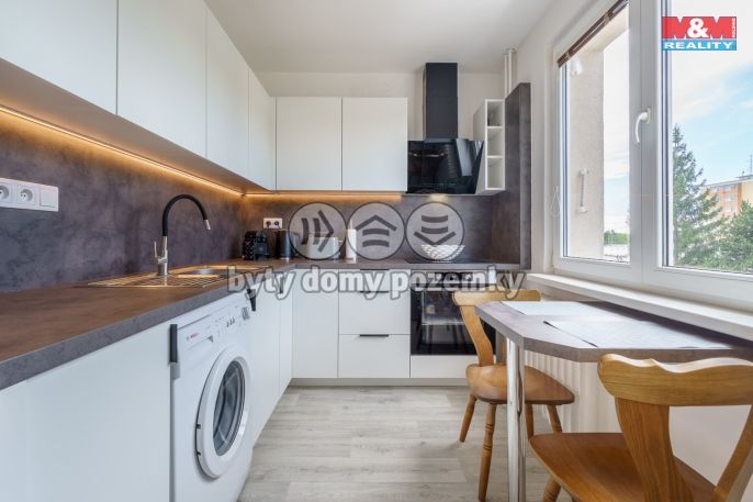 Pronájem, Byt 2+1, Nová Role