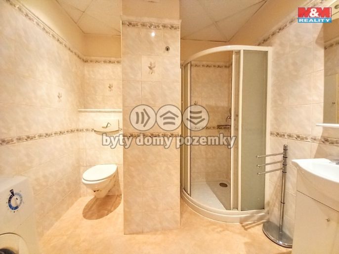 Pronájem, Byt 1+1, Ostrov