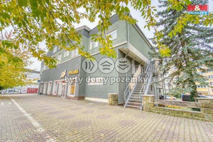Pronájem, Byt 1+kk, Plzeň