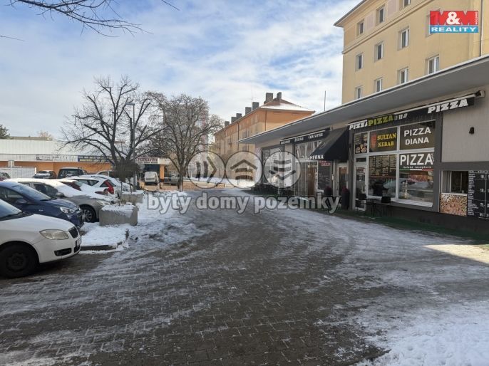 Pronájem, Ostatní, Kladno