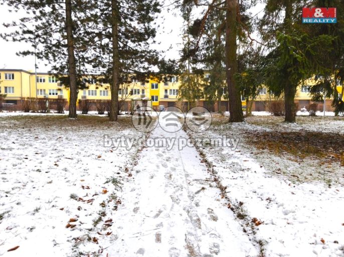 Pronájem, Byt 1+1, Havířov