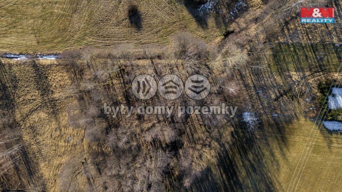 Prodej, Louka, Dětřichov