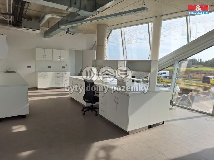 Pronájem, Ostatní, Zlatníky-Hodkovice