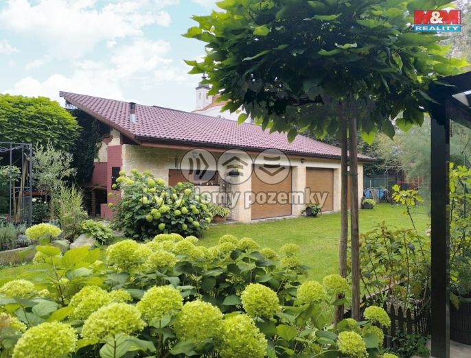 Prodej, Obchodní objekt, Bechyně