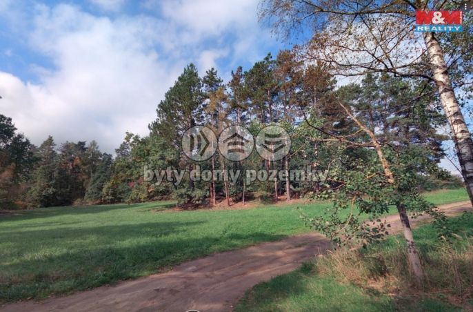 Prodej, Les, Petrovice