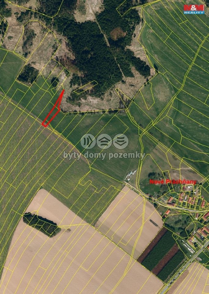 Prodej, Louka, Čechtice